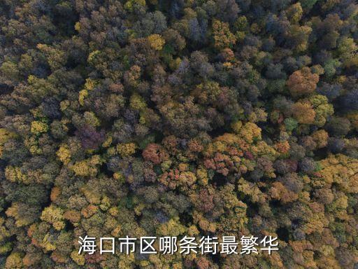 海口街道，這里是海南我想知道?？谟心男┓比A街道誰能告訴我