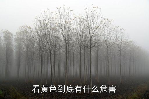 看黃色到底有什么危害