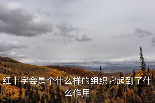 紅十字會(huì)是干嘛的，請(qǐng)問紅十字會(huì)主要是做什么的