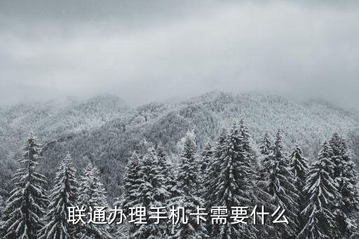 電話卡辦理，手機卡 怎樣辦