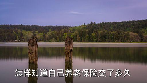 怎樣知道自己養(yǎng)老保險交了多久