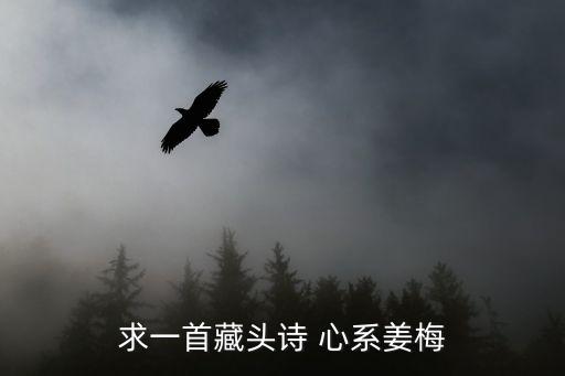 求一首藏頭詩 心系姜梅