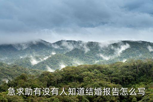 急求助有沒有人知道結(jié)婚報告怎么寫