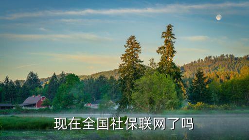 全國(guó)社保聯(lián)網(wǎng)了嗎，社會(huì)保險(xiǎn)現(xiàn)在全國(guó)聯(lián)網(wǎng)了嗎