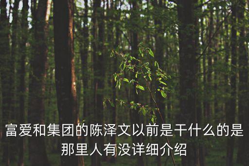 陳澤文，china文哥和china舞帝的文哥是一個(gè)人么