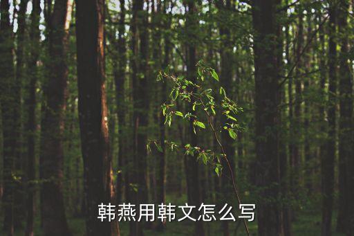 韓燕用韓文怎么寫