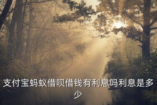 借唄有利息嗎，支付寶螞蟻借唄借錢有利息嗎利息是多少