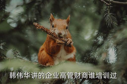 韓偉華講的企業(yè)高管財(cái)商誰(shuí)培訓(xùn)過