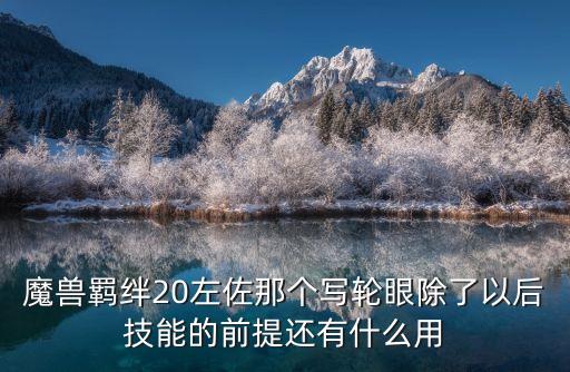 魔獸羈絆20左佐那個寫輪眼除了以后技能的前提還有什么用