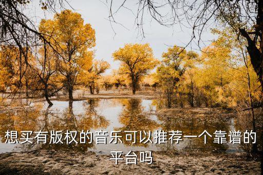 音樂版權(quán)購買平臺(tái)，想買有版權(quán)的音樂可以推薦一個(gè)靠譜的平臺(tái)嗎