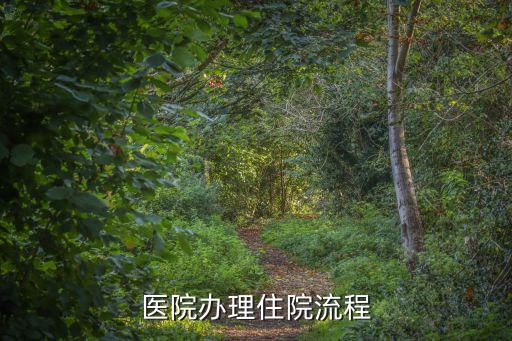 辦住院手續(xù)的流程，辦理住院手續(xù)是怎么個(gè)流程