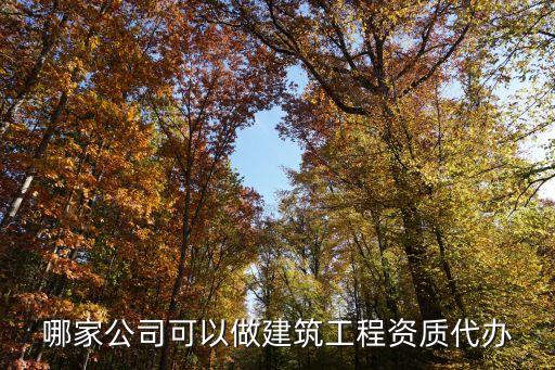 資質(zhì)申請代理，工程資質(zhì)代理是干什么的
