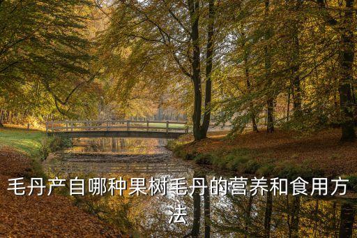 毛丹，介紹一下毛丹這種水果