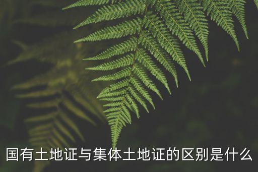 土地證圖片，國有土地證與集體土地證的區(qū)別是什么