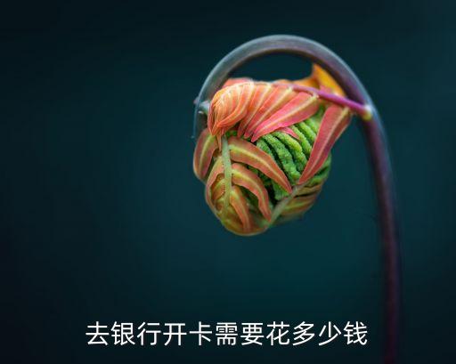 辦卡要多少錢，辦銀行卡要多少錢