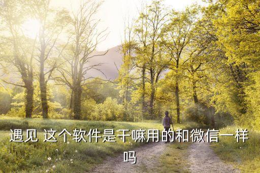 遇到app，遇見 這個軟件是干嘛用的和微信一樣嗎