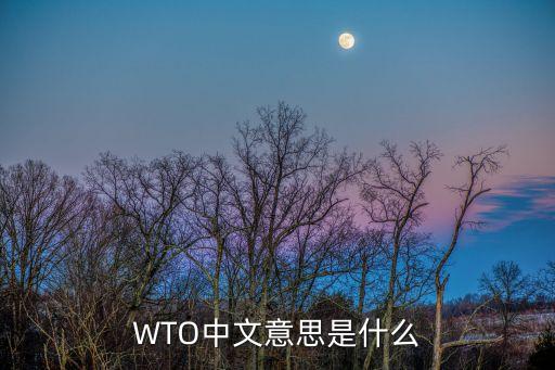 WTO中文意思是什么