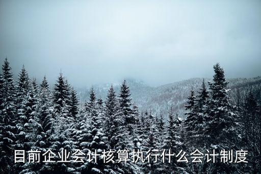 會計核算制度，目前企業(yè)會計核算執(zhí)行什么會計制度
