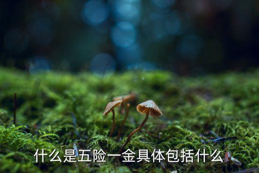 五險一金都是什么，有誰知道五險一金具體是那些