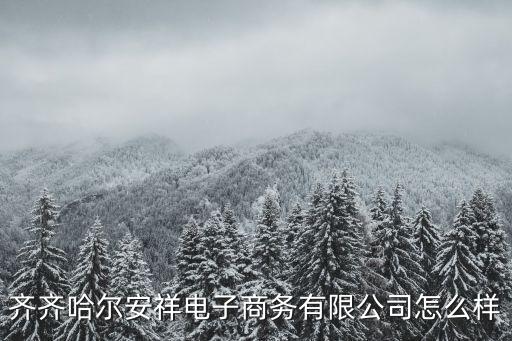 齊齊哈爾安祥電子商務(wù)有限公司怎么樣