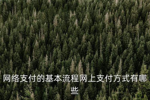 網(wǎng)絡(luò)支付的基本流程網(wǎng)上支付方式有哪些