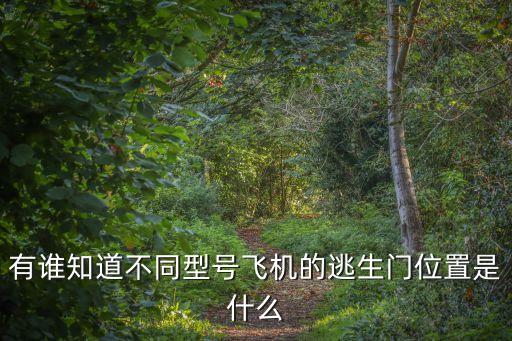 飛機安全門，有誰知道不同型號飛機的逃生門位置是什么