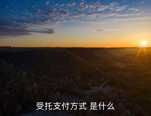 受托支付，貸款人受托支付和借款人自主支付的定義是什么