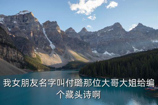 付璐，付璐是什麼