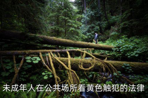 未成年人在公共場(chǎng)所看黃色觸犯的法律