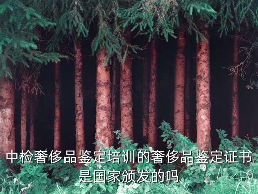 中檢鑒定，中檢奢侈品鑒定培訓(xùn)的奢侈品鑒定證書是國(guó)家頒發(fā)的嗎