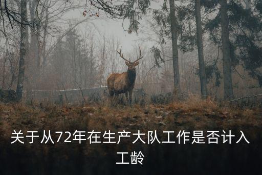 生產(chǎn)大隊(duì)，一個(gè)生產(chǎn)隊(duì)怎么管理