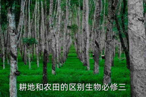 農(nóng)田，農(nóng)田是什么意思