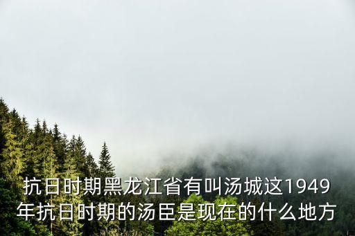 抗日時期黑龍江省有叫湯城這1949年抗日時期的湯臣是現(xiàn)在的什么地方
