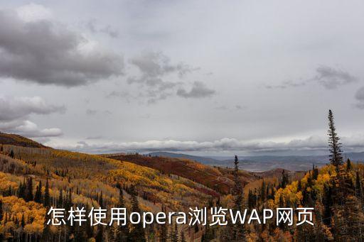 高速代理，網(wǎng)絡(luò)代理