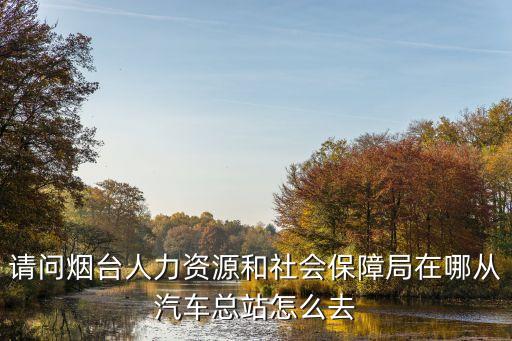 煙臺市人力資源保障局，請問煙臺人力資源和社會(huì)保障局在哪從汽車總站怎么去