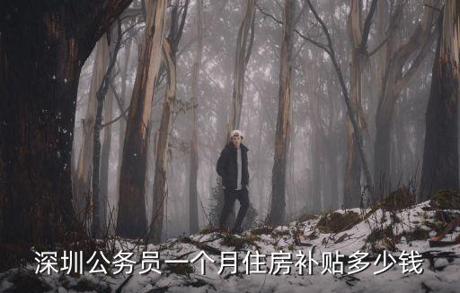 深圳住房補(bǔ)貼，在深圳 申請(qǐng)未購(gòu)房住房補(bǔ)貼的條件是什么呢