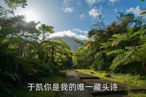 于凱你是我的唯一藏頭詩