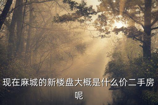 麻城二手房，現(xiàn)在麻城的新樓盤大概是什么價(jià)二手房呢