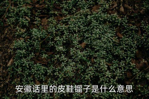 子樣，安徽話里的皮鞋鎦子是什么意思