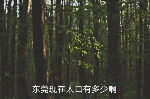東莞現(xiàn)在人口有多少啊