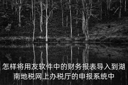 怎樣將用友軟件中的財(cái)務(wù)報(bào)表導(dǎo)入到湖南地稅網(wǎng)上辦稅廳的申報(bào)系統(tǒng)中