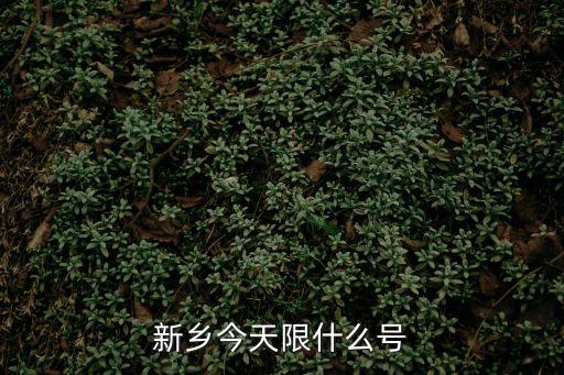 新鄉(xiāng)今天限什么號(hào)