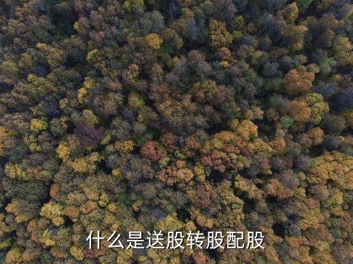 送股，什么是送股轉(zhuǎn)股配股