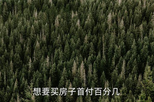 想要買房子首付百分幾