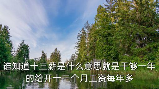 十三薪怎么算，誰(shuí)知道十三薪是什么意思就是干夠一年的給開十三個(gè)月工資每年多