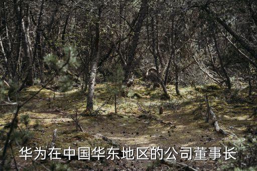 王偉軍，華為在中國(guó)華東地區(qū)的公司董事長(zhǎng)