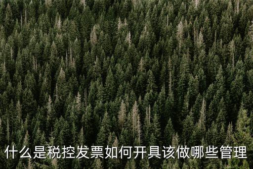 什么是稅控發(fā)票如何開具該做哪些管理