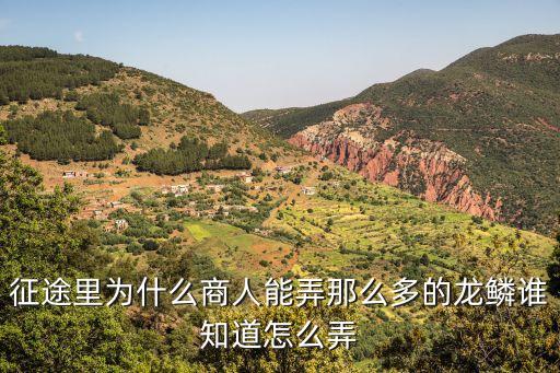征途里為什么商人能弄那么多的龍鱗誰知道怎么弄