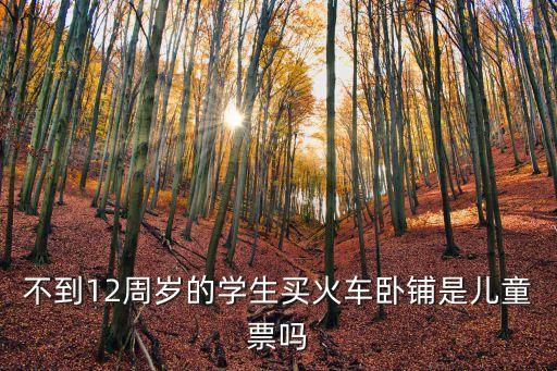 臥鋪有兒童票嗎，不到12周歲的學(xué)生買火車臥鋪是兒童票嗎