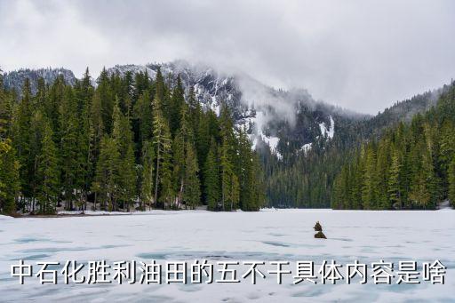 五想五不干內(nèi)容，五想五不干